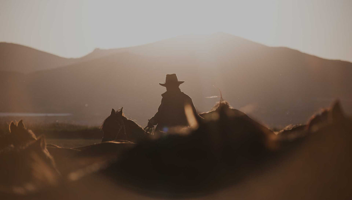 Cowboy with horses at sunset