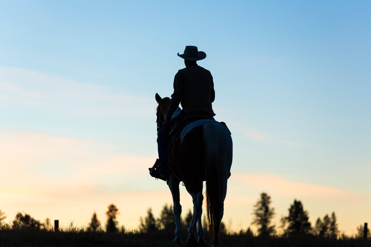 Cowboy riding horseback across the prairie