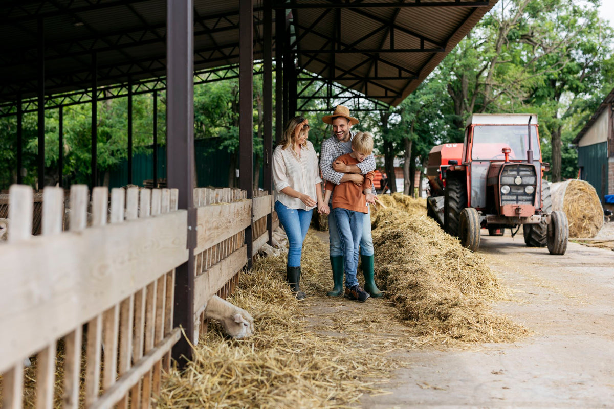 Family walking on a farm with hay and sheep
